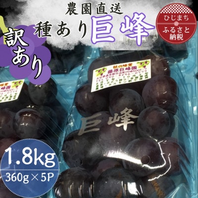 【訳あり】巨峰(種あり)360g×5パック
