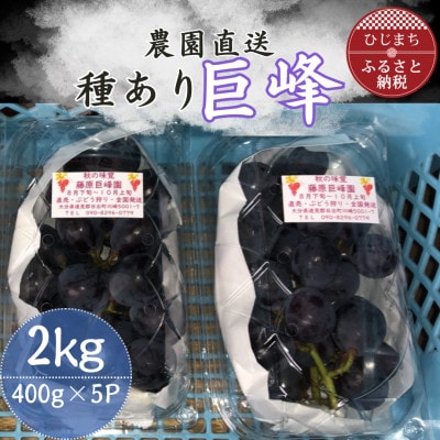 巨峰(種あり)5パック