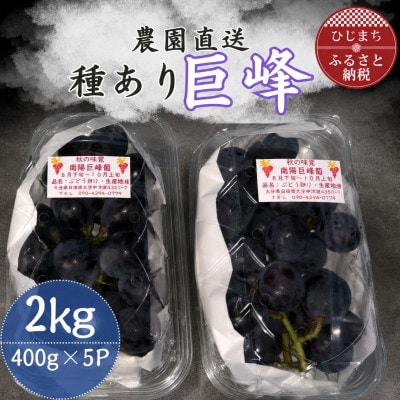 巨峰(種あり)5パック