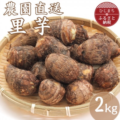 里芋 2kg