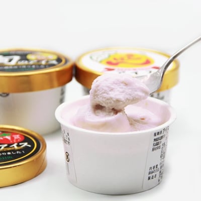 地元特産品アイス3種　9個セット | ふるさと納税のお礼品