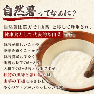 【数量限定】日出町産自然薯「ねばりごし一本」 (800g)