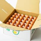 大分生まれのAW飼い有精卵「豊の米卵」60個入り