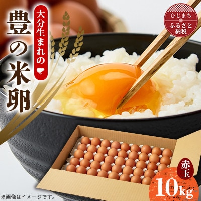 大分生まれのAW飼い有精卵「豊の米卵」10kg(赤卵)