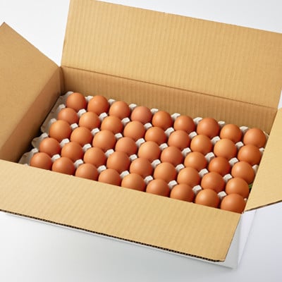 大分生まれのAW飼い有精卵「豊の米卵」10kg(赤卵)