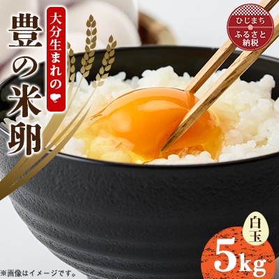 大分生まれのAW飼い「豊の米卵」5kg(白卵)