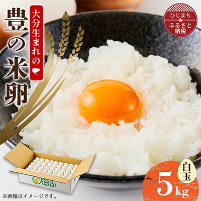 大分生まれのAW飼い「豊の米卵」5kg(白卵)