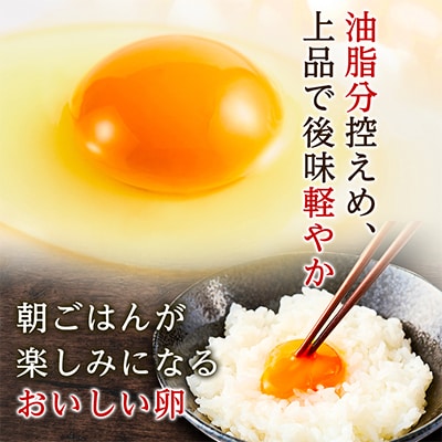 大分生まれのAW飼い「豊の米卵」5kg(白卵)