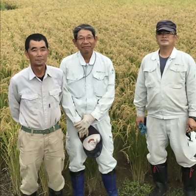 【令和7年産米】てんこもり5kg