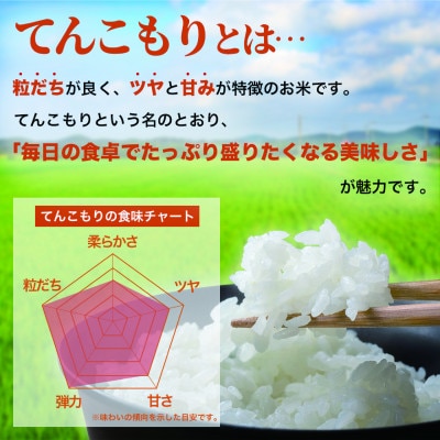 【令和8年産米】てんこもり5kg