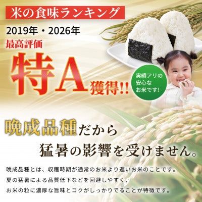 【令和8年産米】てんこもり10kg