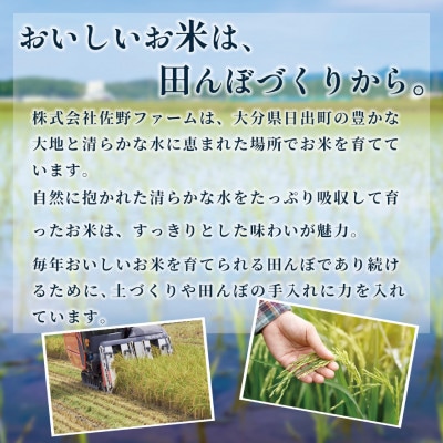 【令和8年産米】恋の予感5kg