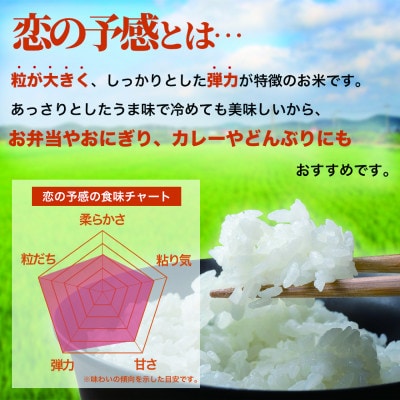 【令和8年産米】恋の予感10kg