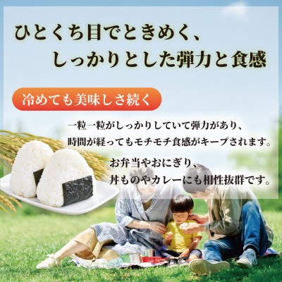 【令和8年産米】恋の予感10kg