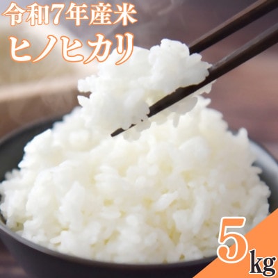 【令和7年産米】ヒノヒカリ　5kg