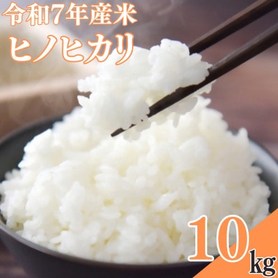 【令和7年産米】ヒノヒカリ　10kg