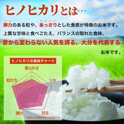 【令和8年産米】ヒノヒカリ　10kg