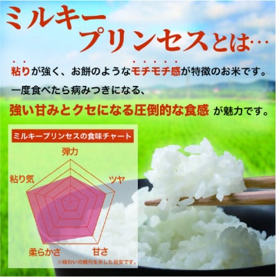 【令和8年産】ミルキープリンセス 5kg