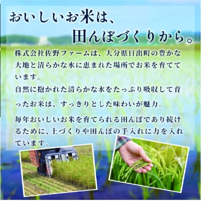 【令和8年産】ミルキープリンセス 5kg
