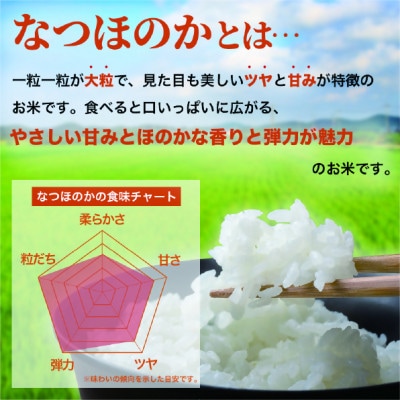 令和8年産米「なつほのか」5kg