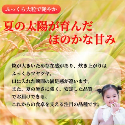 令和8年産米「なつほのか」5kg