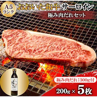おおいたの美味しいお肉食べつくしセットE【複数個口で配送】