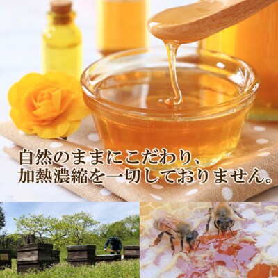 【詰め替え用】純粋国産百花蜂蜜700g×2