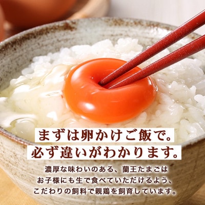 蘭王たまご160個入り