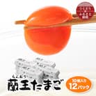 蘭王10個入り12パックセット