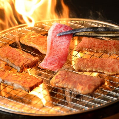 【肉おせち】おおいた和牛・冠地どり厳選焼肉とステーキの二段重【合計900g】つけだれ、ソース、祝箸付