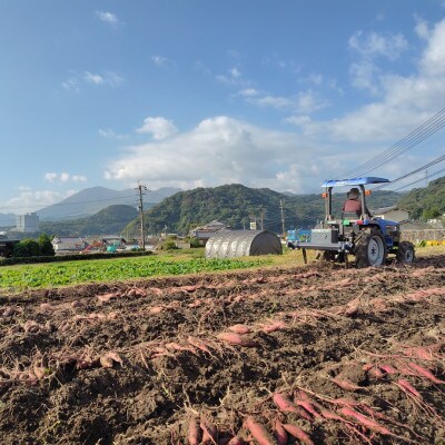 大分県日出町産・干し芋食べ比べセット「平干しタイプ100g×2袋」と「ひとくちタイプ90g×2袋」