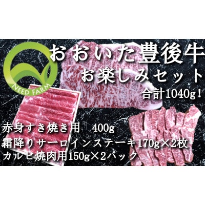 おおいた豊後牛 お楽しみセット(カルビ焼肉・赤身すき焼き・サーロインステーキ)