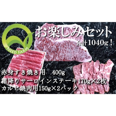 おおいた和牛 お楽しみセット(カルビ焼肉・赤身すき焼き・サーロインステーキ)