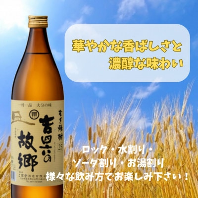 大分むぎ焼酎　二階堂吉四六の故郷25度(900ml)4本セット