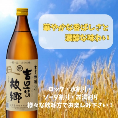 大分むぎ焼酎　二階堂吉四六の故郷20度(900ml)6本セット