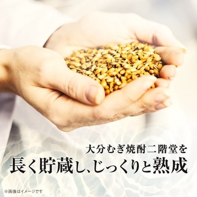 大分むぎ焼酎　二階堂吉四六瓶25度(720ml)8本セット