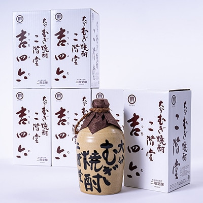 【2025年11月中旬発送】大分むぎ焼酎　二階堂吉四六つぼ25度(720ml)6本セット
