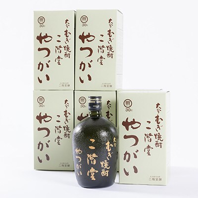 【2025年3月中旬発送】大分むぎ焼酎　二階堂やつがい30度(720ml)6本セット