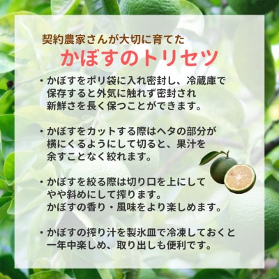大分県産かぼす【B級品】2kg