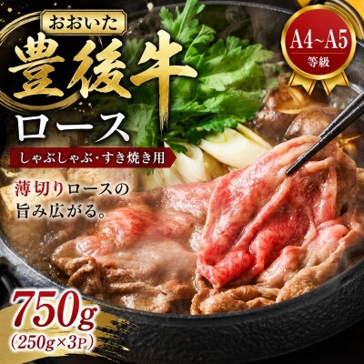 【厳選部位】【A4～A5】おおいた豊後牛ロースしゃぶしゃぶすき焼き用 750g(250g×3p)