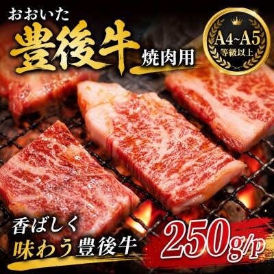 【A4～A5】おおいた豊後牛焼肉用 250g/p