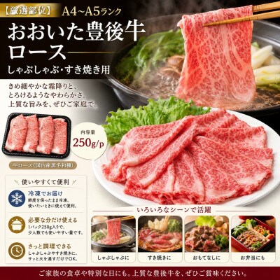 【厳選部位】【A4～A5】おおいた豊後牛ロースしゃぶしゃぶすき焼き用 250g