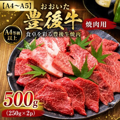 【A4～A5】おおいた豊後牛焼肉用 500g(250g×2p)