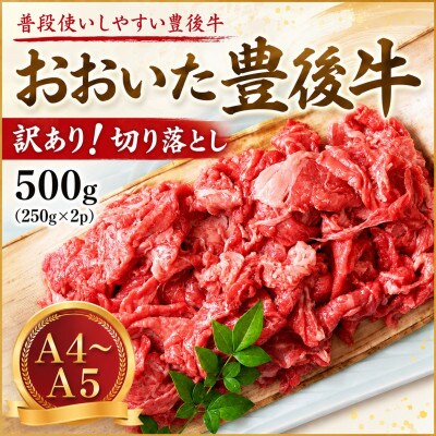 【A4～A5】訳あり!おおいた豊後牛切り落とし 500g(250g×2p)
