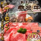 【毎月定期便】厳選部位おおいた豊後牛サーロインしゃぶすき焼き用600g 300g×2(日出町)全3回