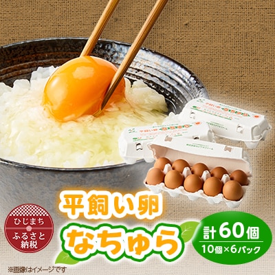 平飼い卵なちゅら(60ヶ入り)