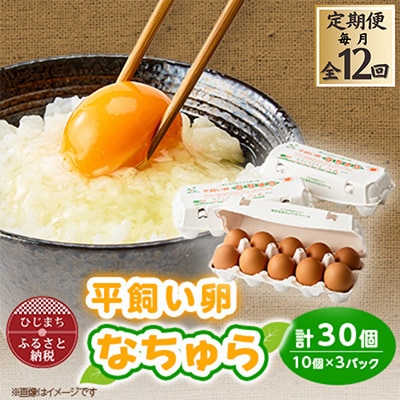 【発送月固定定期便】平飼い卵なちゅら(30ヶ入り)全12回