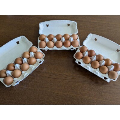 【発送月固定定期便】平飼い卵なちゅら(30ヶ入り)全6回
