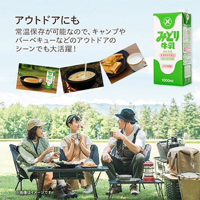 みどり牛乳1L×12本 ロングライフ商品(日出町)