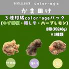彩りからあげ　3種柑橘color-ageパック(ゆず胡椒・梅しそ・ハーブレモン)